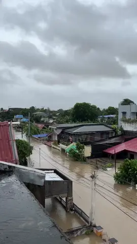PANOORIN: Halos bubong na lamang ang kita sa ilang bahay sa Divina Pastora Bato, Camarines Sur matapos ang biglang pagtaas ng tubig dahil sa patuloy na pag-ulan dulot ng Bagyong #KristinePH, ngayong Miyerkules, October 23, 2024. Courtesy: Leah Pega