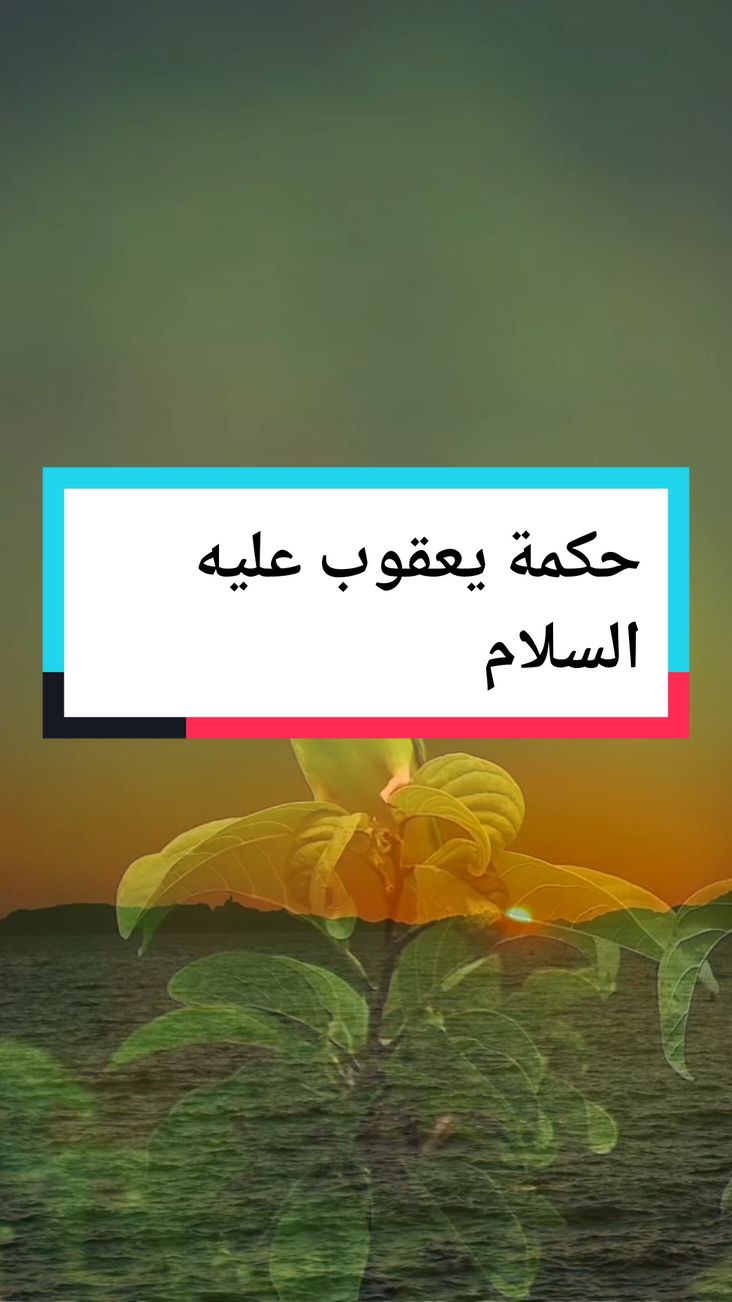 اقتباسات المشاهير خواطر تهز القلوب كلام له معنى عميق #خواطر #اقتباسات  #خواطر_للعقول_الراقية   #كلام_من_ذهب #الجزائر #world  #foryou #quotes  #CapCut 