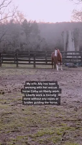 Colby will always be there to catch Ally before sh