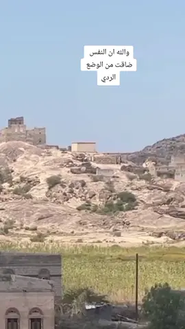 الفنان سعيد الصانع 