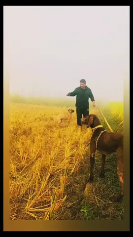 #juttofficial #jutt #narowal🇵🇰 @انجمن طلباہ اسلام نارووال ATI @Zeshanjutt @جٹ @Shani jutt 