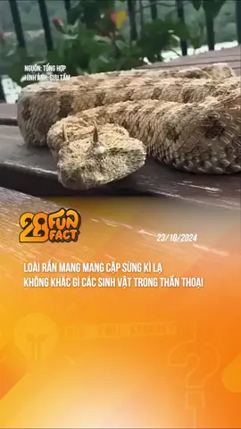 LOÀI RẮN VỚI VẺ NGOÀI KHÔNG KHÁC GÌ CÁC SINH VẬT TRONG THẦN THOẠI #theanh28 #theanh28news #theanh28funfact #tiktoknews