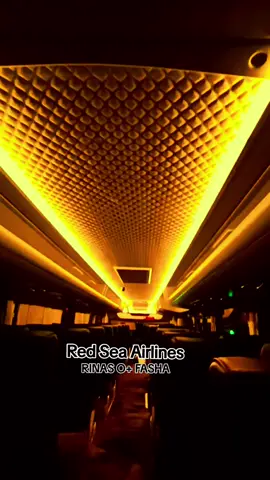 🫰🏻Red sea  staff travelling bus🚌👌🏻 . . . . . #Redsea #staff #travelling #bus #viral #tiktok #foryou #trending #sinhala #dj #djremix #songs 