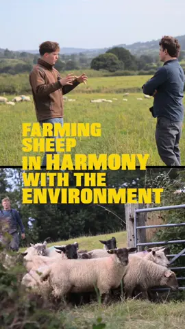 When most people think of livestock farming, terms like 