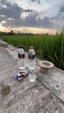 tunggu sawah wo🙌 #foryou #viral #fyp #fypシ゚ #masukberanda #arbal #nyore 
