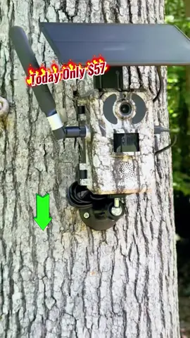 Solar Powered Trail Cameras #trailcamera #solarpoweredcamera #fyp 