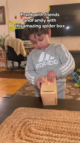 Everyone loves a trickster. This reminds me of Morocco so much. #spiderinabox #trickbox #pranktoy s #pranks #TikTokMadeMeBuylt