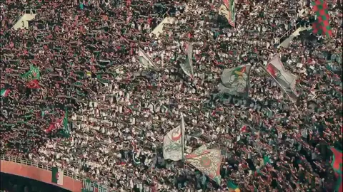 VIRAGE SUD MOULOUDEEN BACK TO 05 JULY STADIUM || عودة فيراج سود لملعب 05 جويلية 🇮🇹🔥 #mouloudia_virage_sud🇮🇹🙏 #mouloudia_virage_sud🇮🇹 #verdeleone #uvl07 #توالف_بلاير💚❤🇮🇹💪🏻 #uttp #capcut_edit #غرين_كورسار_💚❤☠️ #ugc12 #مولوديةالجزائر💚♥️ #الشعب_الصيني_ماله_حل😂😂 #mouloudia #mouloudia_1921❤💚 #مولوديةالجزائر #groupe_torino🇮🇹 #مولودية🇧🇬🇧🇬_نعشق_فيهااا💚 #فاردي_ليوني #aem #حب_وعقلية💚❤ #ultra 