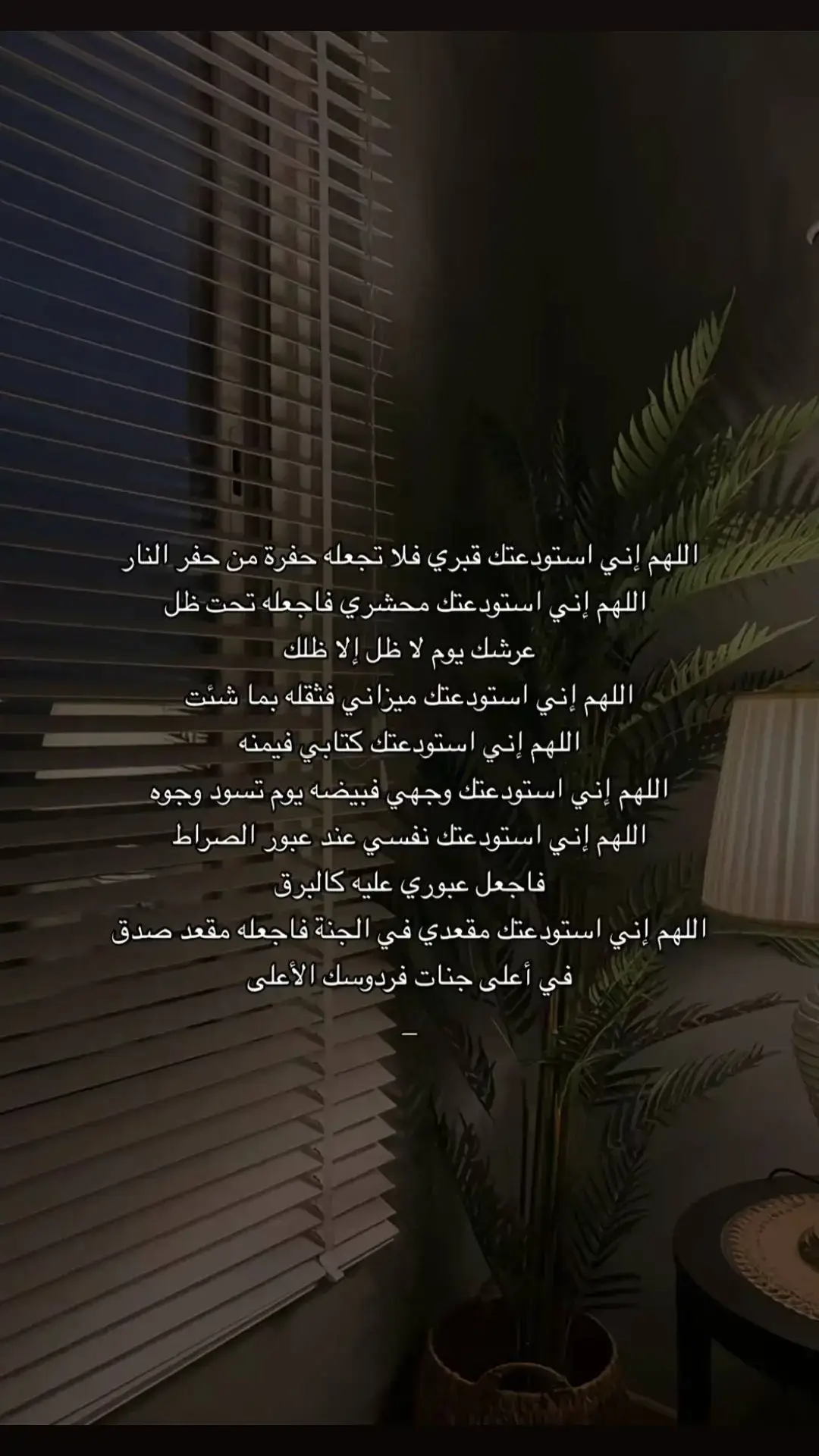 #اكسبلورexplore