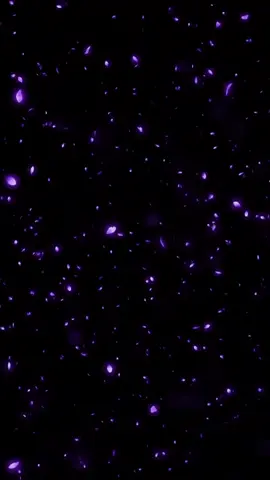 Taller personalizado!!! CONSULTA NUESTROS HORARIOS FLEXIBLES 923 136 020 #skybell  #aprendeyemprende #Educación #arteybelleza #lashartist 