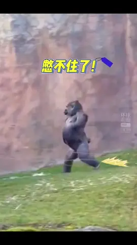 這是不是你朋友急著上廁所的樣子#搞笑影片 #搞笑视频 