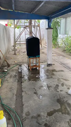 Nyenengne anak anak, edisi batal lomba.     #kacer #gudangpluru #kicaumaniaindonesia #magetan24jam #kacermaniaindonesia #fyp #kicaumanianusantara🦜🦜🐦 #hobiburung #indonesia🇮🇩 #kicaumania #fyp #foryoupage 