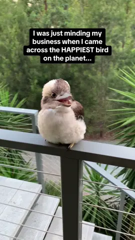 The noise it made at the end though 😳🤣 #RoadTo16Million #Pubity  (Dana Korsinczky via ViralHog)