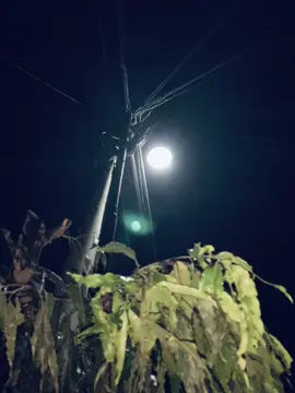 😵‍💫#fotolivetiktok#fotoliveiphone#estetetik#fyppppppppppppppppppppppp 