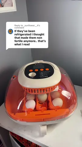 Replying to @_sunflower__4 