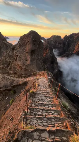 Isn’t this a true hiker’s paradise? ⛰️ After living on Madeira for two years, I can confidently say that this island is a hiker’s dream.  Why? 🌄 Spectacular Views: From coastal cliffs to hidden waterfalls and panoramic mountain views, the island’s landscapes are simply stunning. 🥾 Variety of Trails: Whether you’re into coastal paths with ocean views or mountainous routes like Pico do Arieiro to Pico Ruivo, there’s a trail for every hiker. 🌦️ Climate Diversity: Madeira’s microclimates mean you can experience different weather conditions on a single hike, from misty forests to sunny coasts. 🚶‍♂️ Well-Maintained Paths: The trails are well-marked and maintained, making them safe and easy to navigate. 🦜 Flora and Fauna: The Laurisilva forests, a UNESCO World Heritage site, are home to unique plants and rare birds. I’ve spotted the Madeira firecrest and laurel pigeon on my hikes. 🌊 Levadas: Madeira has over 2,000 km of levadas, ancient irrigation channels that serve as hiking paths. They take you through lush forests and offer breathtaking views. That’s why Madeira truly is a hiker’s paradise! 🥾🌲🌊 Location on video: 📍PR1 And what’s your favorite hiking trail on Madeira?  Share in the comments below! 👇 #HikingParadise #Madeira #ExploreMadeira #HikingAdventure #hikingtrail #Levadas #MountainTrails #hikingaddict #SunsetHike #TravelMadeira #VisitMadeira #PrivateGuide #madeiraGuide #discovermadeira #scenicviews #hikingworldwide #hikingvibes 