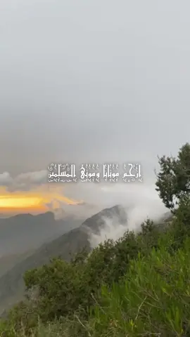 #اللهم_ارحم_موتانا_وموتى_المسلمين 