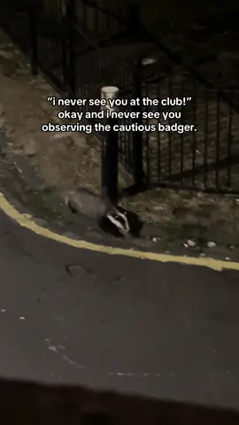 first time i’ve ever spotted a badger! 🦡 #badger #uk #wildlife 