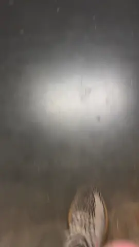 PORSCHE 963 🫡🇩🇪 | #carlover #class #fyp #foryou #viral #edit #fypシ゚ #porsche #963 #lemans 