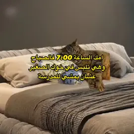 #ليبيا🇱🇾 #اكسبلور #شعب_الصيني_ماله_حل😂😂 #تصميم_فيديوهات🎶🎤🎬 #مليون_مشاهدة❤ 