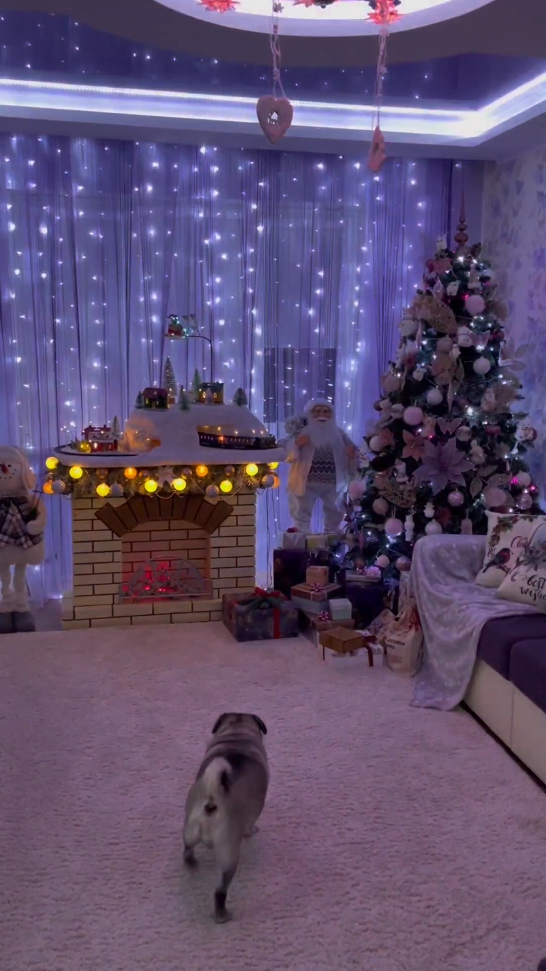 #новыйгод  #christmas  Идея новогоднего украшения 