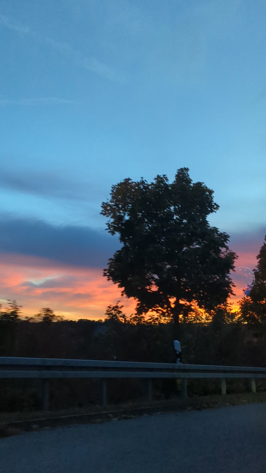 Come and run Munich half with meeeeee Only went for the views 😻 #halfmarathon #englishgarden #sunset #bavaria #munich #germany #neuschwanstein 