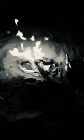 #محمد_المقحم #fyp 