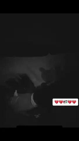 سالتها كم عمرك ردت الطفله عمري ٣٣ اعمار اهل الجنه ...... اللهم اجعلنا من اهل الجنه جميعا وارحمهم وارحمنا برحمتك التي وسعت كل شيئ