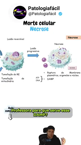 #bacteria #inflamacao #necrose