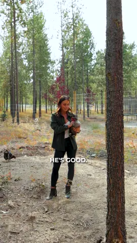 Feathered Friends, anyone? 🐔🏡 This homestead comes with charm, acreage, and some very opinionated chickens. Come for the house, stay for the pecks! 😅  This home is as desirable as it gets! Brought to you at $899,000 Message me for more details.  #HomesteadLiving #CountryLife #RealEstateHumor #DreamHome #RealtorLife #IdahoHomes #FarmhouseVibes #ChickensIncluded