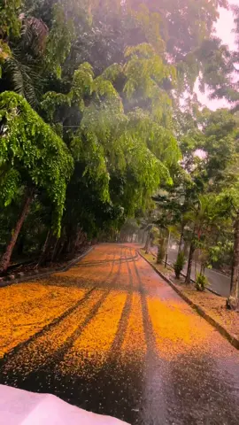 UI [Uncen Indah] di saat hujan 🌧🍂