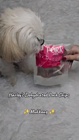 @harleyshomekitchen  Harley's Dehydrated pork chips treats for our fur babies 🩷 #CapCut #dog #dogsoftiktok #cute #dogtreats 