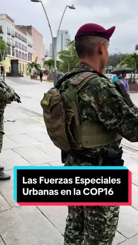 Si vas a estar en la Zona Azul 🔵, Zona Verde 🟢 o Zona Naranja 🟠, esta información es para ti. Nuestras Fuerzas Especiales Urbanas están presentes en la @COP16Colombia🫡.  #MinDefensa #fuerzasespeciales #ejercitonacionaldecolombia #cali #cop16 #cop16colombia 