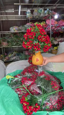 Jerry đỏ tài lộc mang lại sự may mắn thịnh vượng bắt mắt. Xét bình được thiết kế cắm sẵn mang lại sự tiện dụng phù hợp trang trí phòng để bàn để kệ chất liệu nhân tạo có độ bền cao 