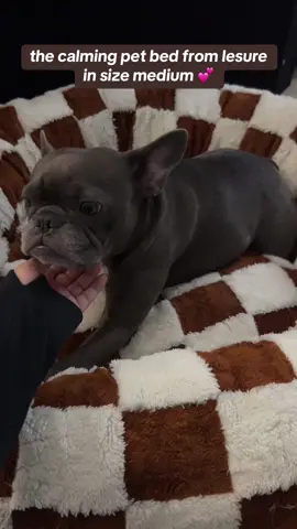 we are both loving it #lesuredogbed #lesuredonutdogbed #lesurecalmingdonutbed #viralcalmingbed #lesurepet #calmingpetbed #tiktokshoppetfinds 