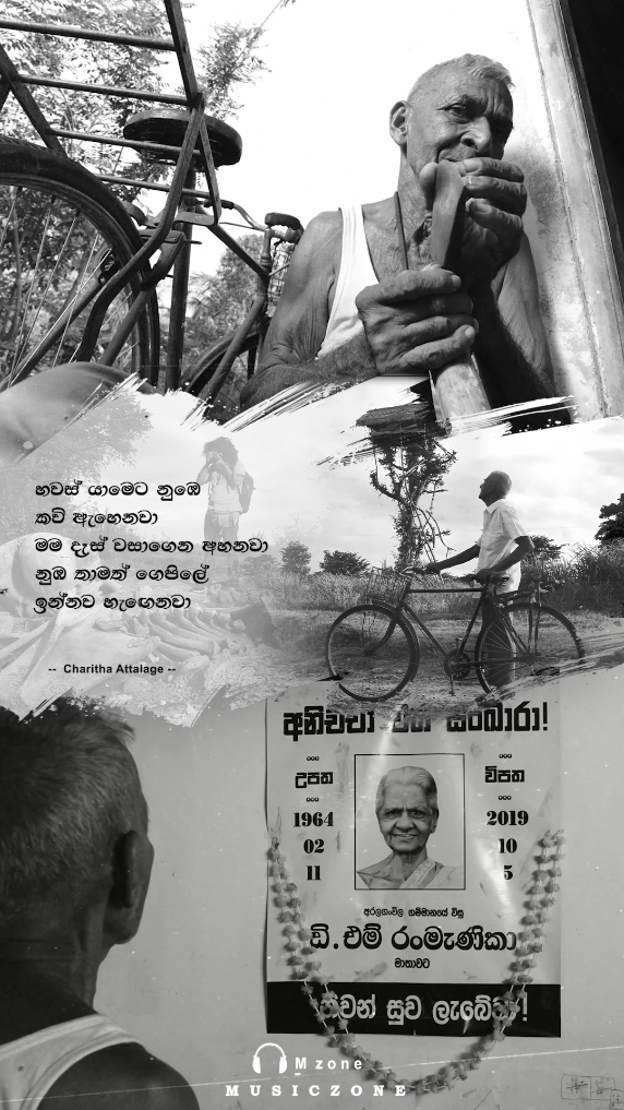 ZD8...❤️‍🩹 :::::::::::::::: 🌀Charitha Attalage >>>>> #charithaattalage #zd8 #m_zoneofficial #fyp #foryoupage #fypviral #sinhalasong #lyrics #4u #1m #srilankan_tik_tok🇱🇰 #oldhits 