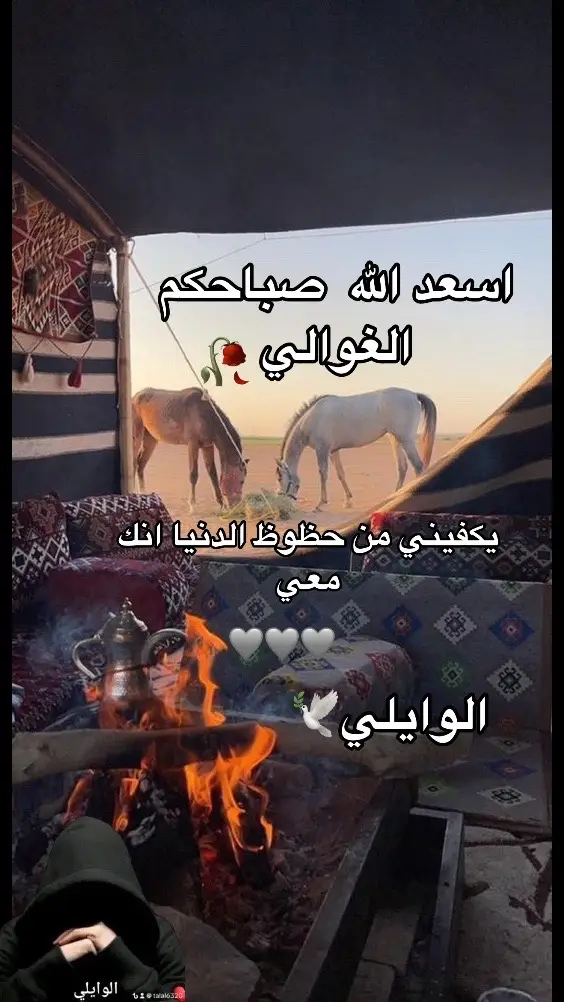 #🕊️🕊️🕊️🕊️🕊️🕊️🕊️🕊️🕊️🕊️🕊️🕊️ 