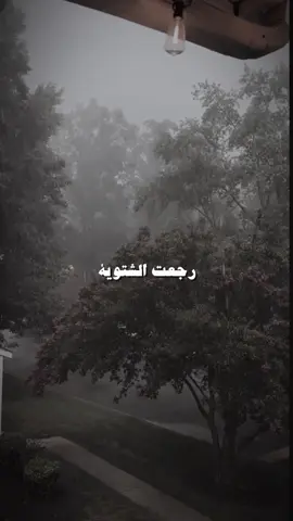 ورجعت الشتوية🌹#صوت_الزمان #sawtalzaman #فيروز #صباحيات #رجعت_الشتويه #فن #غناء #هدوء #arabicsong #arabicmusic #fyp #موسيقى #لبنان 