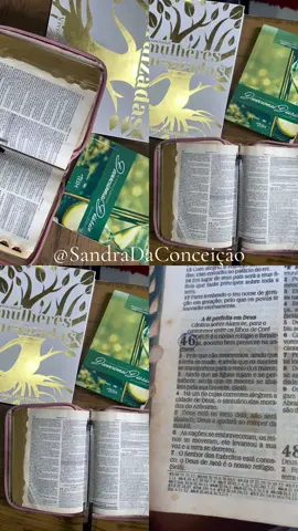 Querido Deus, a tua palavra é minha prioridade🙌🏾. #devocional #devocionaldiario #palavaradedeus 