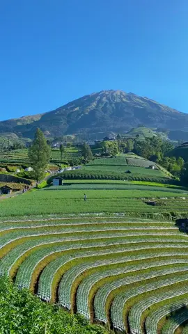 Vibesnya ftv banget ga si?! #vibes #ftv #vibesftv #magelang #sukomakmur #sukomakmurkajoran #sukomakmurmagelang 