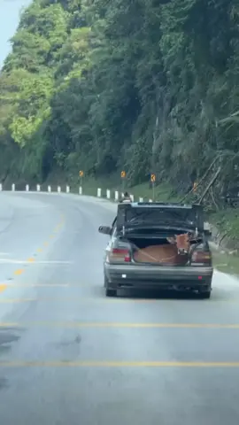 Xuống HàNội kể trên quê toàn chở bò với cỏ cho bò bằng xe con mà họ không tin ,may hôm nay quay được bằng chứng 😊😁 #xuhuongtiktok  #nongthon  #xedep #văndẫn 