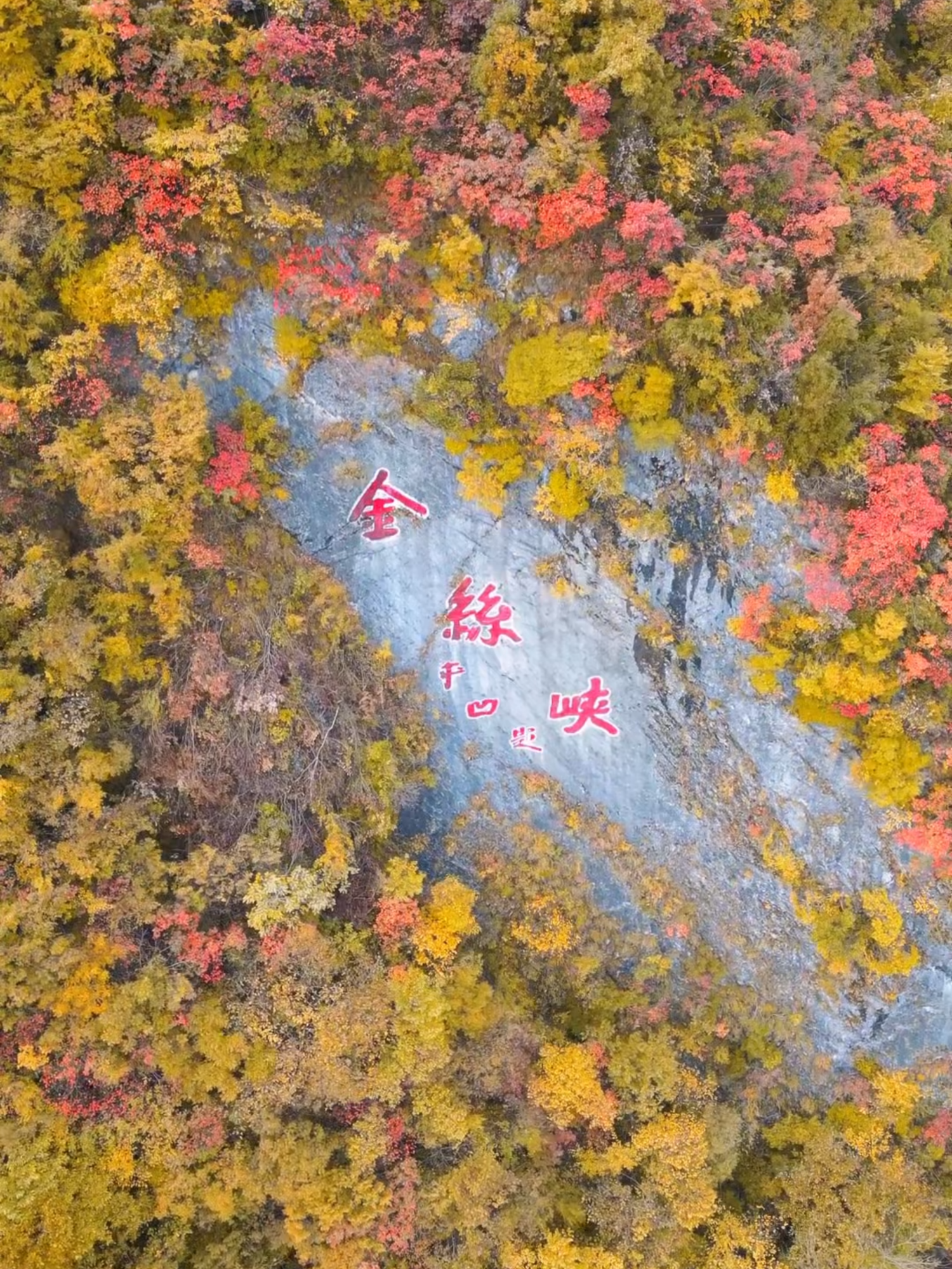 In Shangluo, #Shaanxi Province, Jinsi Grand Canyon dazzles with autumn's vibrant palette of reds, yellows and oranges. It's a breathtaking destination to experience the magic of the season. Take a look!