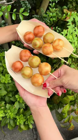 3色の可愛すぎるまるもち屋さん🍡 3色まるもち400円 🍚店名: まるもち家 伏見稲荷本店 住所: 京都府京都市伏見区深草一ノ坪町27-9 最寄駅:伏見稲荷駅から徒歩3分 営業時間：10:00〜17:00 定休日：不定休 #京都グルメ#japanesefood#tiktokfood