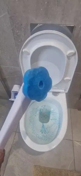 #toiletbrush #cleantoilet #bathroom #cleanandtidy #hygenic #toilet 