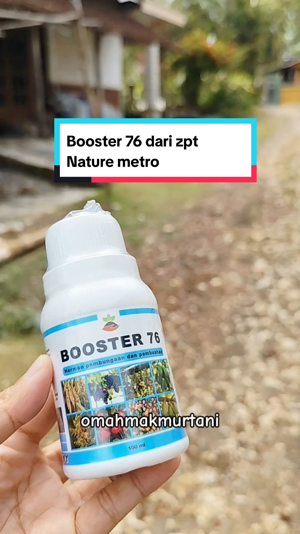 Membalas @nurwitwijaya #booster #pupuk #pupukorganikcair #wibgajian #guncangpromo1010 #omahmakmurtani #pupukorganik 