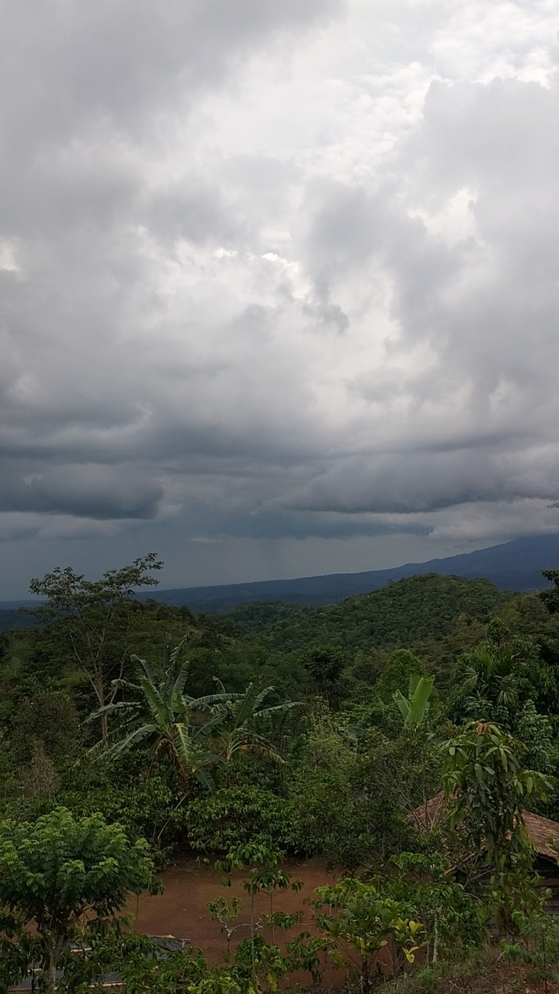 pemandangan alam sore sore dengan cuaca mendukung indah banget #pemandanganalam #awanhitam #perbukitan #pegunungan #petanikopi #petanikaret #pemandanganaesthetic #panoramasore #nature 