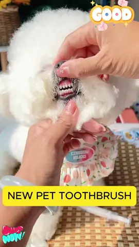 🆕 This dental cleaning pen specially for pets is really so convenient. Moreover, dogs don't resist it.pet #pets #doglife #Dog #dogsofttiktok #dogtok #dogmom #dogs #petsofttiktok #petvlog #dogvlog #FallDealsForYou#tiktokshopblackfriday#blackfriday#blackfridaydeals#tiktokshopblackfridaydeals#blackfridayshopping#chrismasgifts#chrismashaul#chrismasshopping