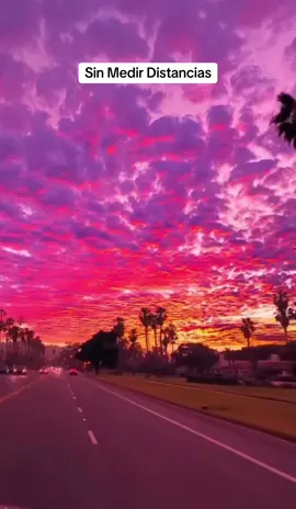 Sin Medir Distancias - Diomedez Diaz #sinmedirdistancias #diomedesdiaz #vallenatos #musicavallenata #colombia #valledupar #laguajira 