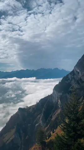 С замиранием сердца😳🤩🤩🤩🌍🌍🌍⛰️⛰️⛰️🥰🥰🥰👍👍👍 #travelling #beautifulview #traveltiktok #beautifulnature #beautifulplaces #travellife #views #Lifestyle #traveltips #favoritplace #hikinglovers #lake #mountain #Hiking #fall #autumn 