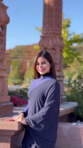 🪷🕌 #swaminarayan #swaminarayantemple #india #newjersey 